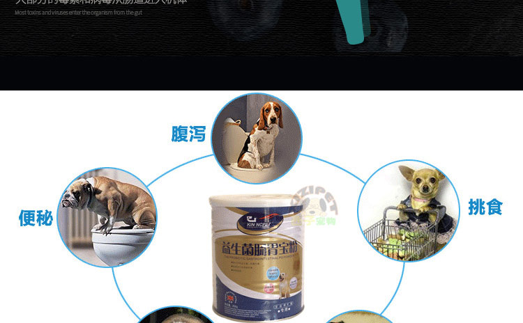 Men uống men tiêu hóa điều trị tiêu hóa bột mèo tiêu chảy táo bón tiêu chảy giúp tiêu hóa viêm ruột vật nuôi nôn - Cat / Dog Health bổ sung sữa predogen