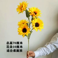 70 Gaussia 5 солнечных цветов желтые