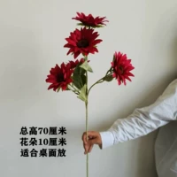 70 Gaussia 5 Sun Flowers Red