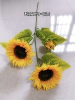 2 Цветок 1 подсолнуха