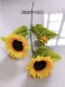 2 Цветок 1 подсолнуха