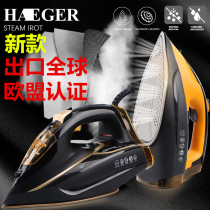 Germany 2400W household ironing clothes Steam steam iron hanging electric iron iron Jet ironing machine