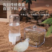 Rutin Chicken Feeder Kettle Drinker Water Feeder Drinker Food Box Parrot Bird Automatic Pigeon Ludin Chicken