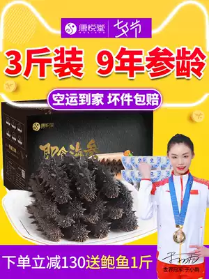 Dalian Kangyuetang instant sea Cucumber Dalian Liao thorn ginseng 1500g fresh sea cucumber gift box Non-dry single pack