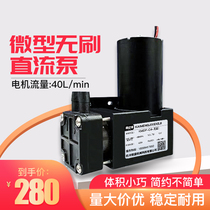 12V micro air pump DC vacuum pump small air pump 24V Mini brush negative pressure pump pumping dual diaphragm pump