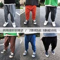 Hu Dadao 2021 childrens clothing pants boys spring pants Joker comfortable cotton pants plus velvet padded big butt pants