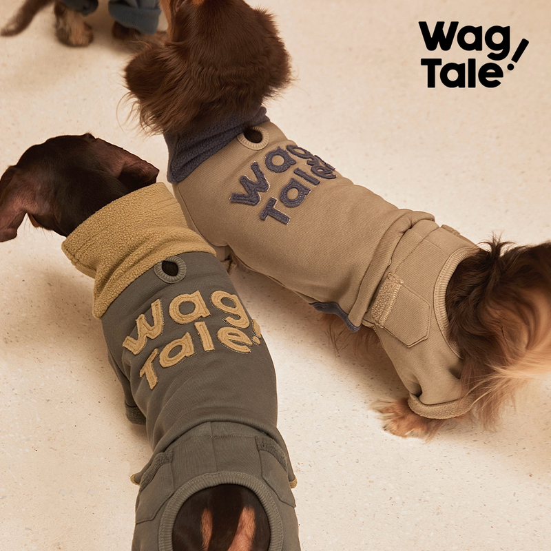 Wagtale Winter Soft and Fluffy Detachable Retro Color-Block Four-Legged Clothing with Universal Letter Pattern Pet Apparel Wagtale Winter Soft and Fluffy Detachable Retro Color-Block Four-Legged Clothing with Universal Letter Pattern Pet Apparel