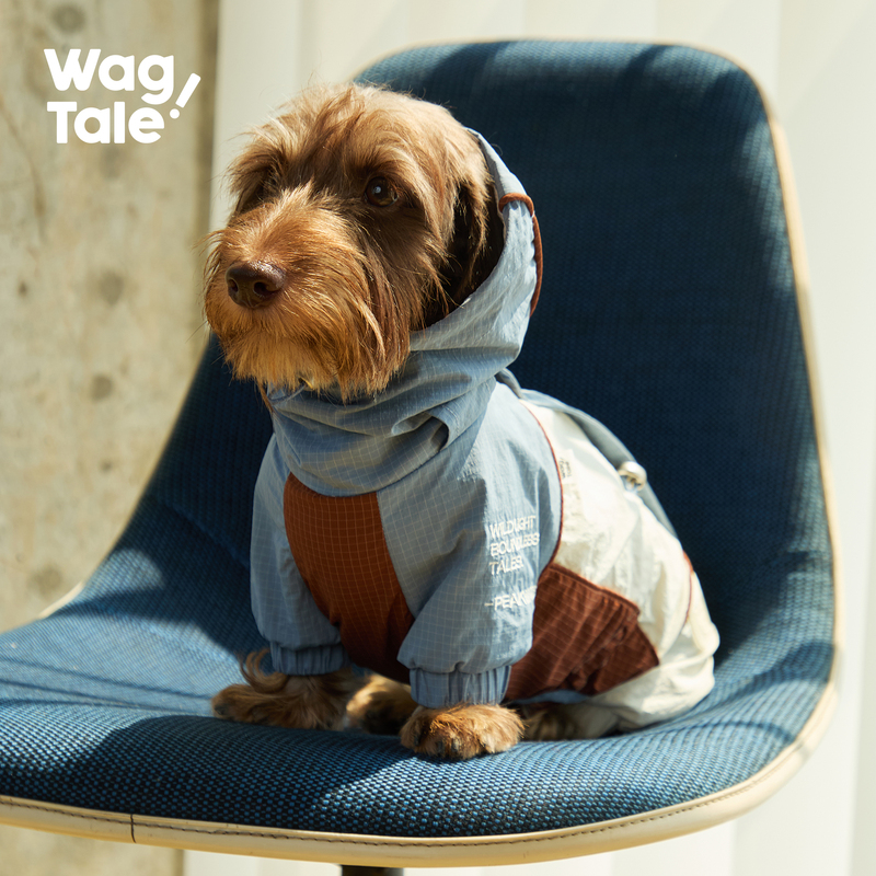 Wagtalecityjungle2.0 Limited Edition Waterproof Pet Dachshund Greyhound Foxhound Four-Legged Jacket Wagtalecityjungle2.0 Limited Edition Waterproof Pet Dachshund Greyhound Foxhound Four-Legged Jacket