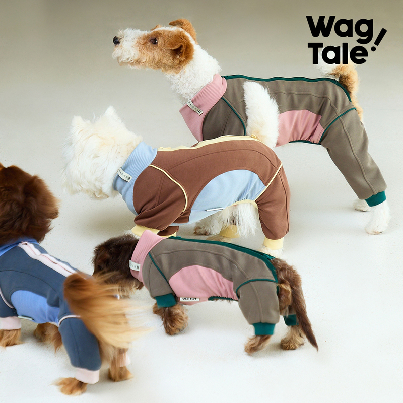 Wagtale Cityjungle2.0 Outdoor Retro Four-Legged Super Elastic Anti-Wrinkle Air Layer Pet Skin Clothing Wagtale Cityjungle2.0 Outdoor Retro Four-Legged Super Elastic Anti-Wrinkle Air Layer Pet Skin Clothing