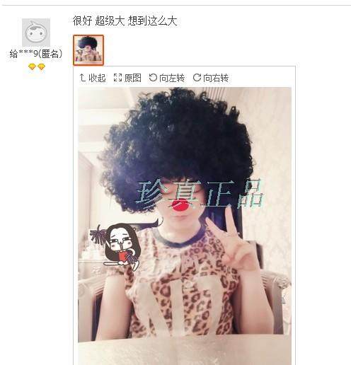 Perruque Harsh pelucheux confirme - Ref 2610167 Image 9