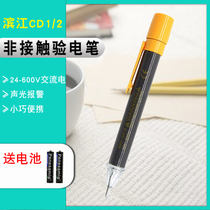 Hamjiang CD1 2 AC Voltage Induced Electropen Non-contact Test Pencil advanced test electric pen sound and light prompt