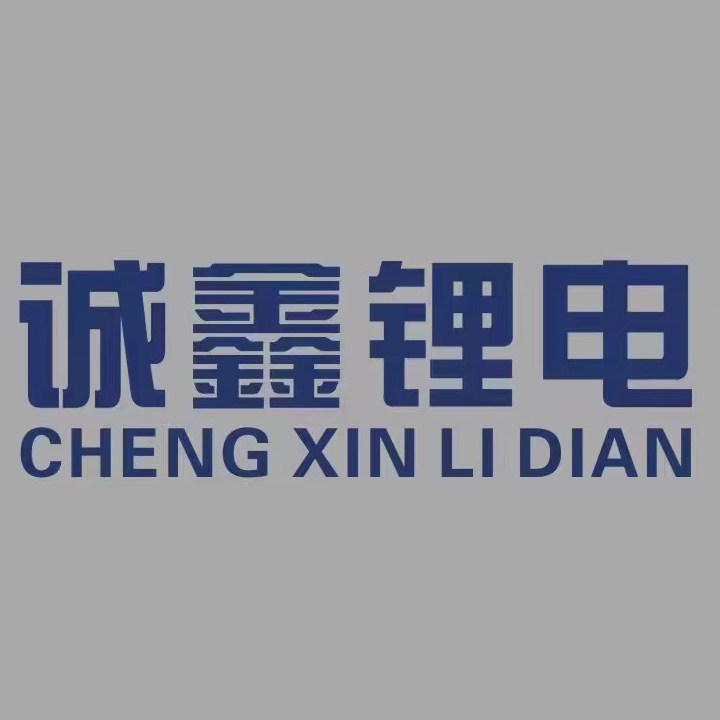 诚鑫新能源锂电工厂