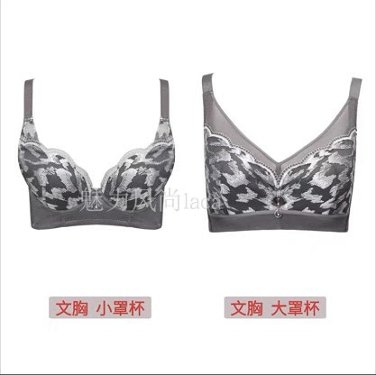Jiuji Zhenmei International Shaping Underwear Bra, Leiweier Large Cup Full Coverage and Small Cup Push-Up Bra