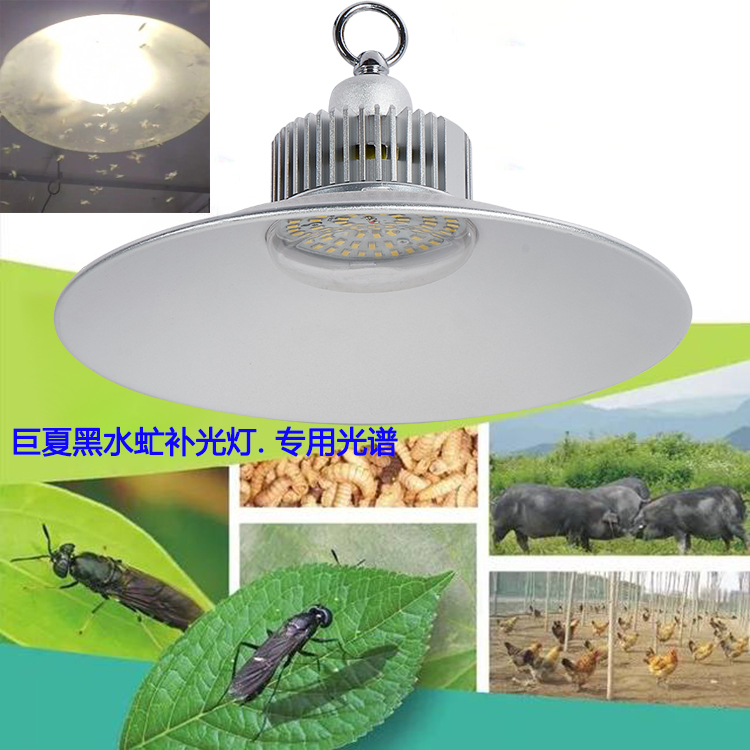 Led Black Water Fly Supplementary Lighting for Indoor Breeding of Flies, Simulating Sunlight to Promote Adult Flies Finding Mates in Greenhouses
