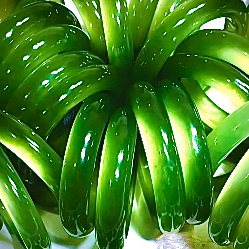 Xiuyu bracelet live ink nail cui ice species floating bracelet yellow white old jade analysis wood green ground jade 180 hetian