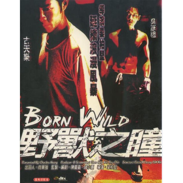 ビースト・アイズ DVD コレクターズ・エディション ルイス・クー/ダニエル・ウー