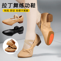Dance training shoes womens soft sole professional Latin dance ballet training shoes classical dance shoes low heel two-point sole