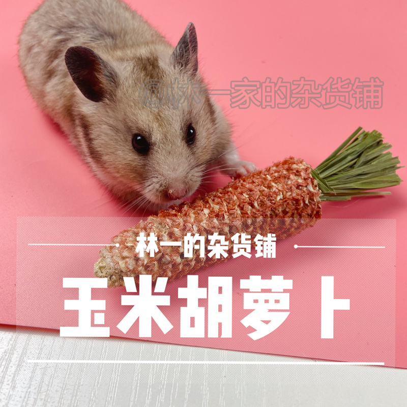 Harder grinding rod Dutch pig and mouse gold beard rabbit guinea pig dragon cat snack