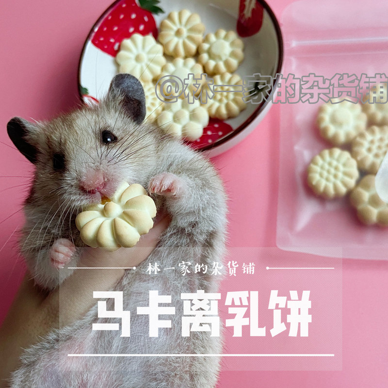 Harder snack Marka milk cake bluish bear pygmy pygmy pygmy mythic mice nutritional pet products Japan