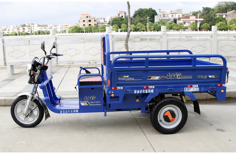 Xe điện ba bánh chở hàng nặng vua điện ba bánh xe chở hàng người lớn thể hiện kéo xe tải pin ba bánh - Xe đạp điện các mẫu xe đạp điện