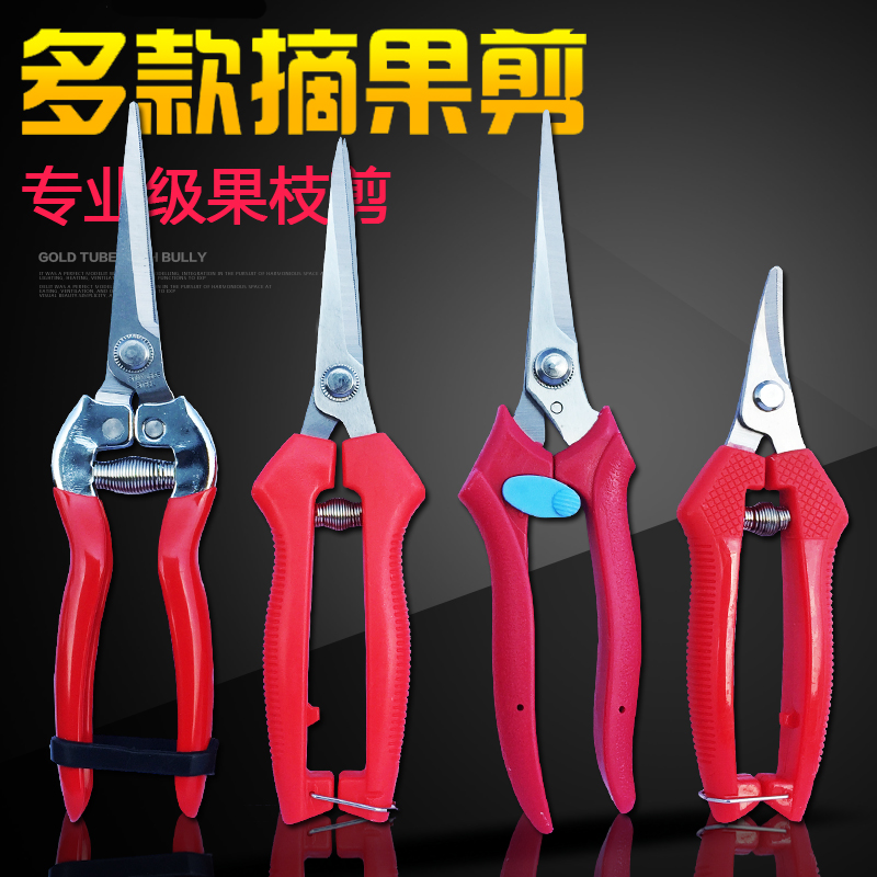 Pick fruit orange fruit fruit tree tool Artificial fruit cut grape cut grapes special scissors fruit and fruit pick scissors