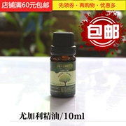 Tự làm xà phòng làm bằng tay chăm sóc da nguyên liệu khuynh diệp tinh dầu 10ML tinh dầu duy nhất - Tinh dầu điều trị