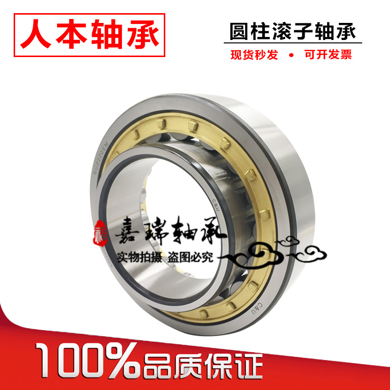 Human cylindrical no outer ring roller bearings RN204 205 206 207 208 209 210 211EM