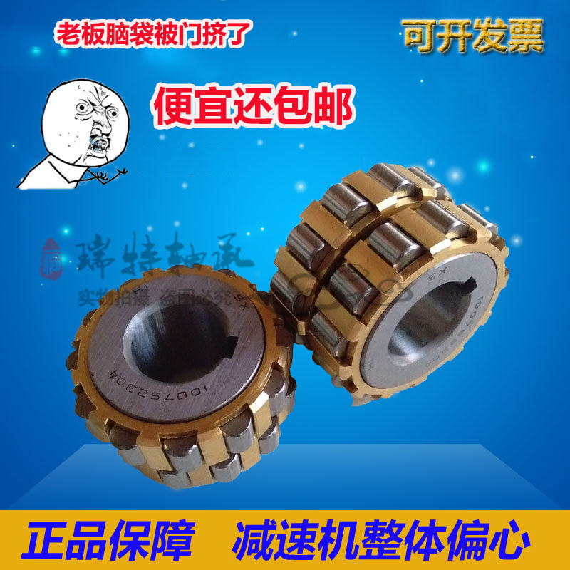 Cycloidal needle wheel reducer fitting cylindrical roller integral eccentric bearing RN309M eccentric sleeve RN307