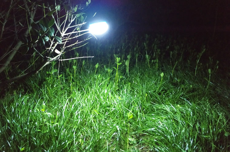 Cắm trại ngoài trời lều đèn treo với đèn nam châm khẩn cấp mini LED đêm ánh sáng đèn hơi cắm trại đèn pin chiếu sáng đèn pin convoy