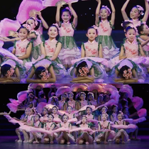 Children I Paint Flowers for the Motherland Dance Kindergarten Girls Dance Costumes Childrens Performance Clothes Puff Skirt Veil Skirt