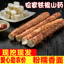 Hebei Iron Stick Yam Fresh Vegetables 6 Jin Farmhouse Self-Planting Yam Sheet Small White Mouth Clay Soil Clay Soil Clay Tulip Mountain Huai Mountain