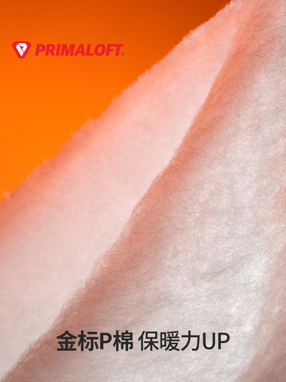 Nanend Ski Gloves Gold Label P Cotton Waterproof and Warm Cordura Wear-Resistant Electric Heating Gloves Ns5042