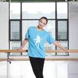 Шнурки, спортивная одежда, футболка, короткий рукав, оверсайз