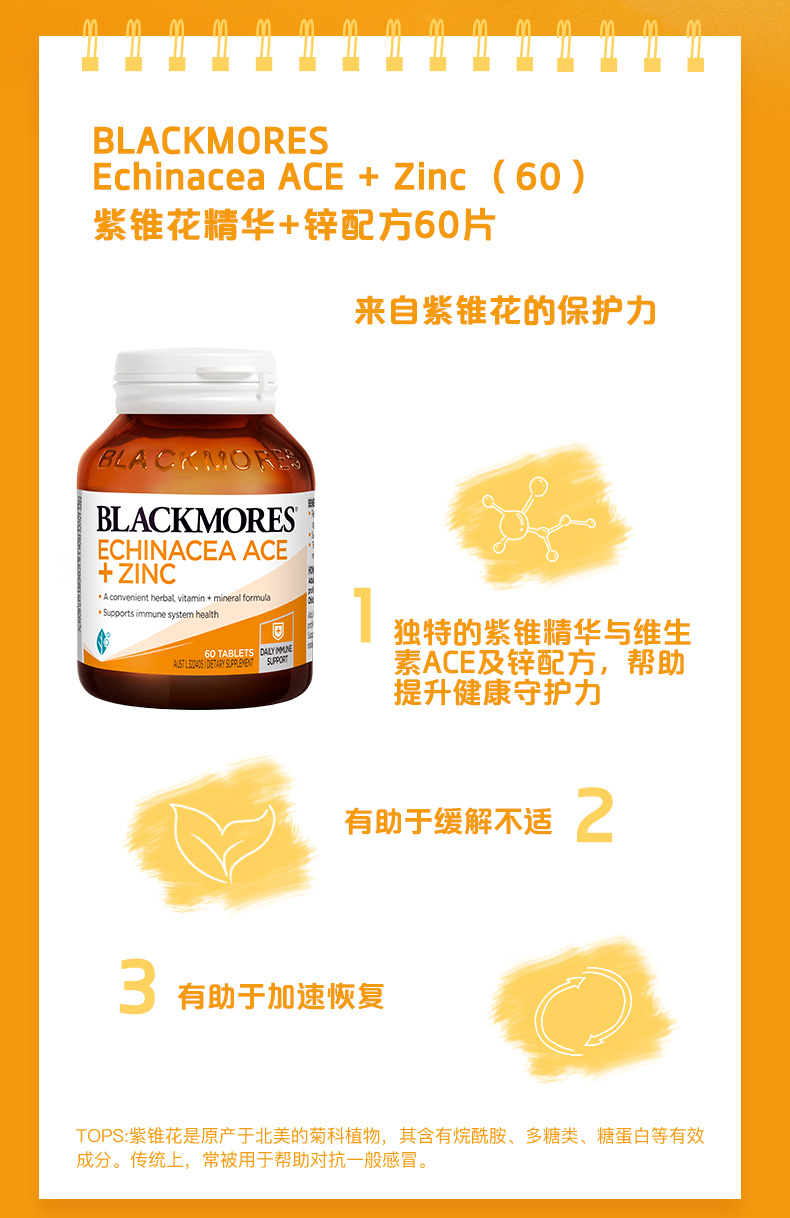 Blackmores澳佳宝紫锥花精华+锌配方