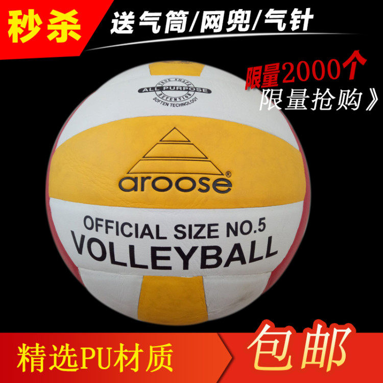 Ballon de volley-ball - Ref 2010709 Image 4