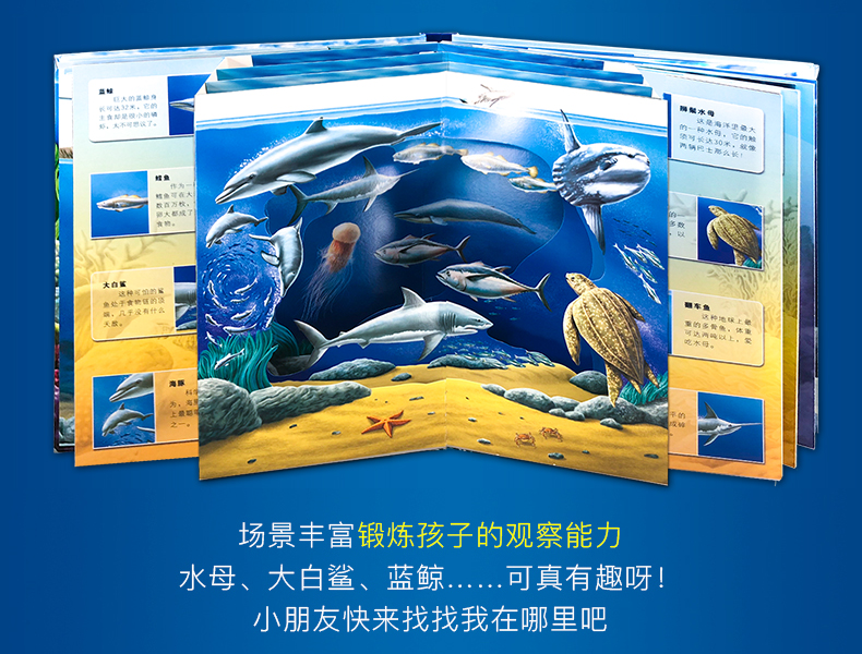 神奇大自然 海洋世界 3D立体翻翻书 图6