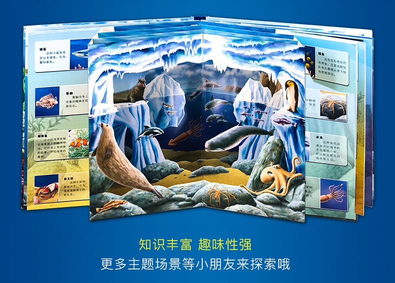 神奇大自然 海洋世界 3D立体翻翻书 图7