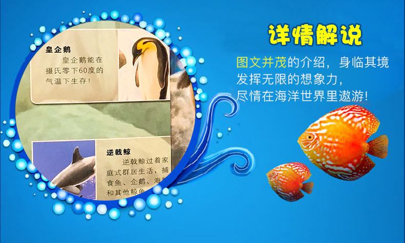神奇大自然 海洋世界 3D立体翻翻书 图10