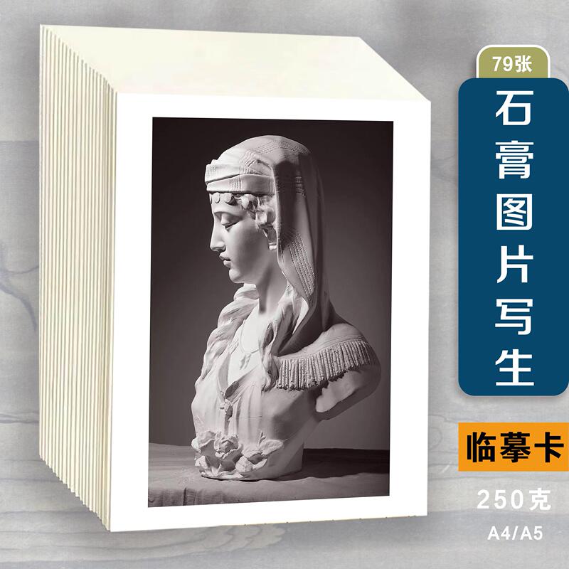 Art Plaster Figure Head Sketching Card Geometric Forms Facial Features Still Life Photo David Sculpture High-Definition Material