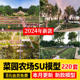 Rural Countryside Garden Vegetable Planting Plot Farmhouse Vegetable Patch Garden Fence Sketchup Model