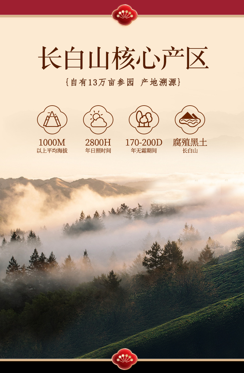 40年专注西洋参品牌  乐陶陶 长白山人参  即食鲜参切片 45g*2盒 图2