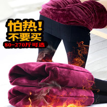 2020 winter extra large size plus velvet thickened leggings 200 pounds female fat mm wear fat to increase elastic warmth
