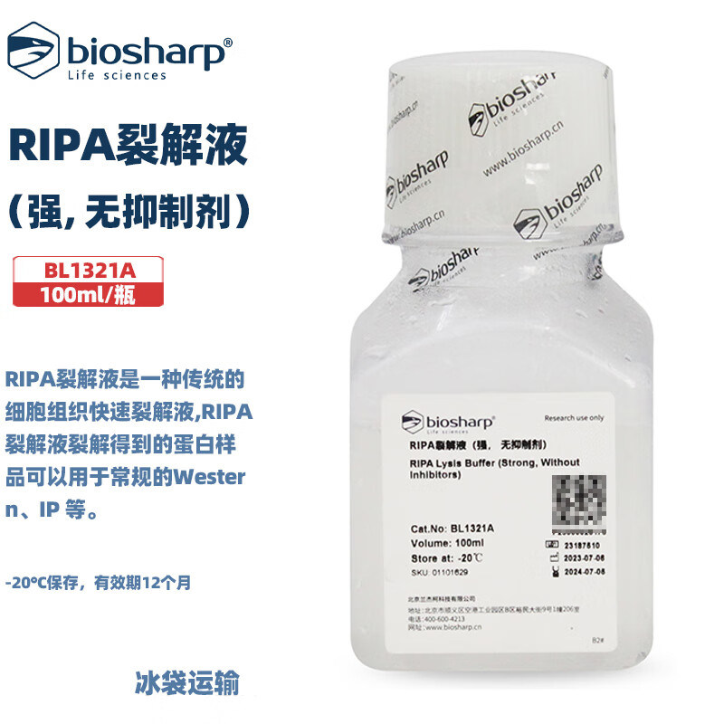 白鲨 BL1321A RIPA裂解液（强, 无抑制剂）100ml/瓶