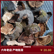 Wild Phellinus juniang (other online stores) Baum 500g