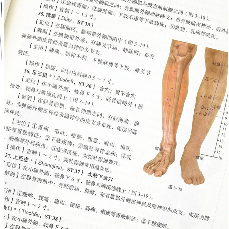 中醫針灸學教科書第十10版十三五規劃教材入門書籍正統針灸用中國中醫藥 
