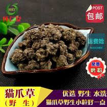 Chinese herbal medicine wild cat claw grass washed kitten grass small buttercup three loose grass free grinding 500g
