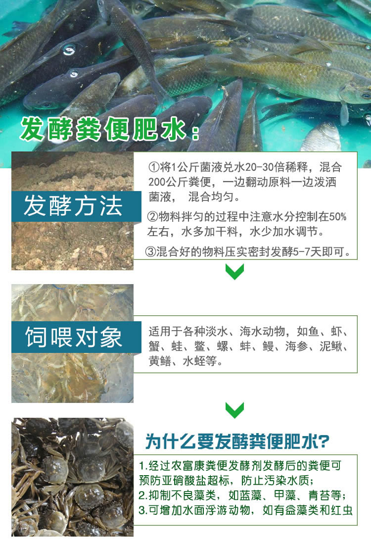 0811糞便發酵-肥水.jpg
