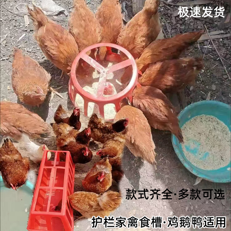 Chicken Trough feeding Chicken Trough Rectangular anti-Sardination Duck Goose trough Cooked Gluon Breeding Plastic Feeder Basin Anti-Pickpocket-Taobao