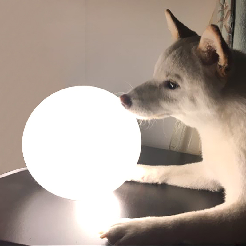 German Berman led decorative table lamp glass cover small night light table lamp Nordic princess bedroom bedside table light round ball