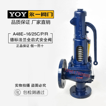 YOY German standard A48E-16 25 40 64 100C P R Flanged spring open full lift safety valve